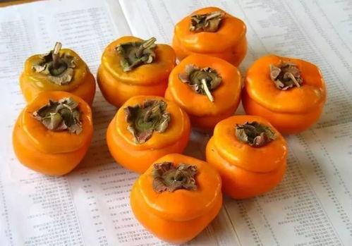 网红小柿子吃瓜,网红小柿子带你吃遍娱乐圈大瓜 第2张 网红小柿子吃瓜,网红小柿子带你吃遍娱乐圈大瓜 第2张