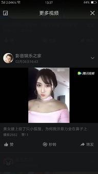 快手网红吃瓜网站,热门事件背后的真相与笑料  第2张