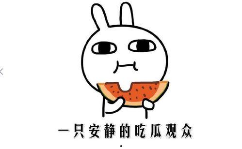 快手网红吃瓜网站,热门事件背后的真相与笑料  第3张