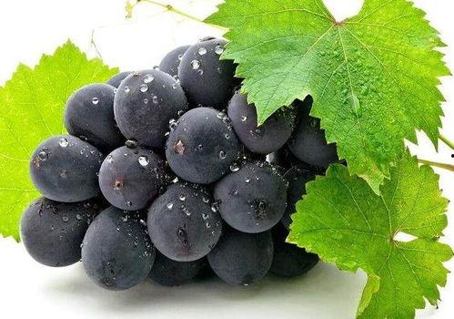 网红吃瓜葡萄视频,趣味视频引网友热议