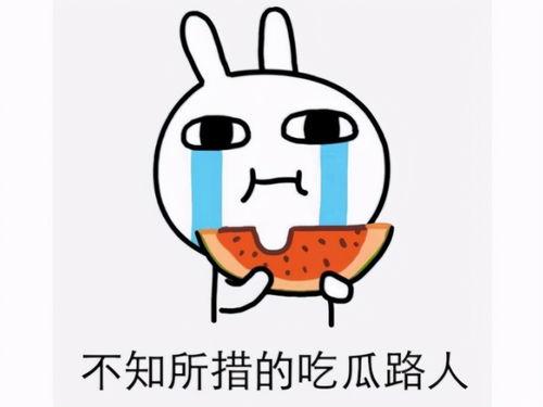 吃瓜网被骗,网络诈骗背后的惊人真相 第3张 吃瓜网被骗,网络诈骗背后的惊人真相 第3张