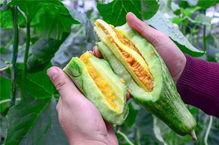 网红吃瓜中国,揭秘网络红人的幕后故事 第2张 网红吃瓜中国,揭秘网络红人的幕后故事 第2张