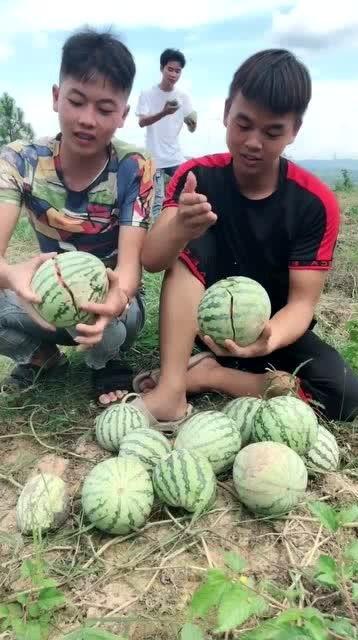 网红吃瓜中国,揭秘网络红人的幕后故事 第3张 网红吃瓜中国,揭秘网络红人的幕后故事 第3张