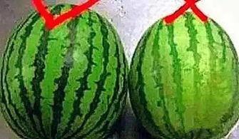 17吃瓜热门今日吃瓜,17吃瓜热门事件深度解析  第3张