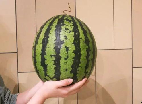 广州跳舞网红吃瓜 第3张 广州跳舞网红吃瓜 第3张