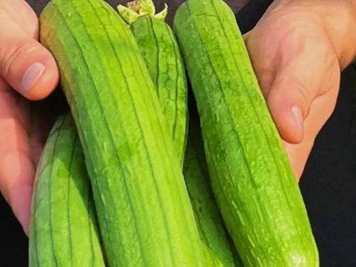 吃瓜网推荐人,人生百态，品味人间烟火  第3张