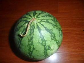 今日吃瓜必看大瓜 第2张 今日吃瓜必看大瓜 第2张