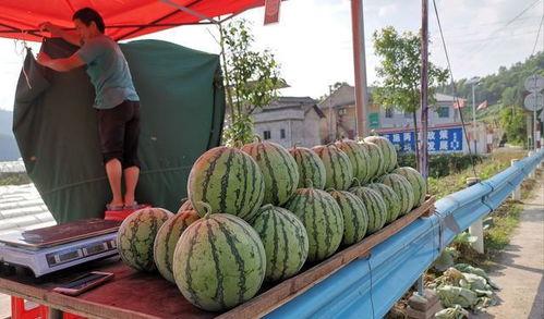 唐县网红的吃瓜事件,揭秘网络舆论背后的真相  第3张