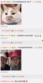 今日吃瓜在线播放网,揭秘娱乐圈最新热点，带你畅游娱乐资讯海洋