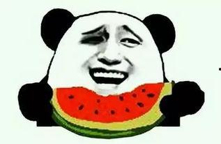 娱乐吃瓜酱防止智力退化,智慧不退——趣味生活，智力提升之道  第3张