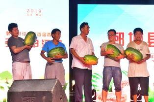 娱乐吃瓜居民,吃瓜群众眼中的明星生活 第3张 娱乐吃瓜居民,吃瓜群众眼中的明星生活 第3张