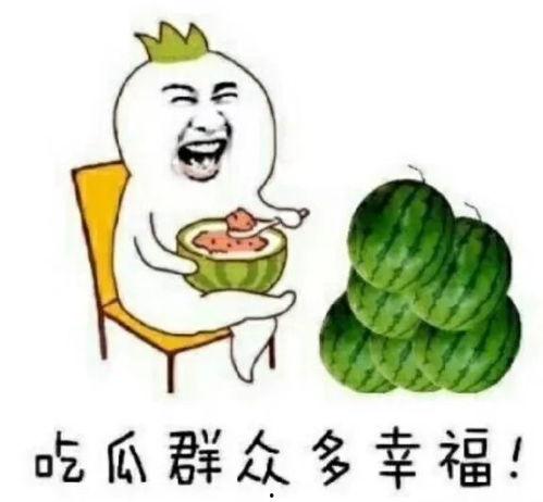 娱乐吃瓜哈哈哈,笑料百出，揭秘明星幕后故事哈哈哈  第2张
