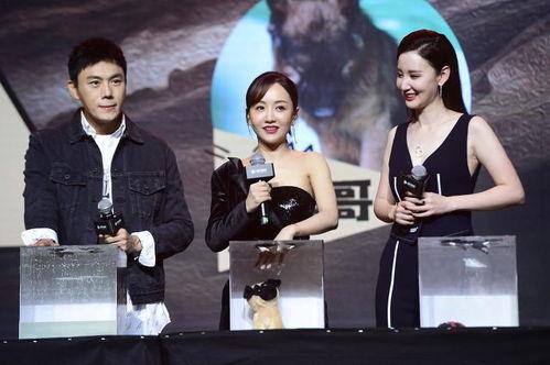 吃瓜新娱乐  第2张