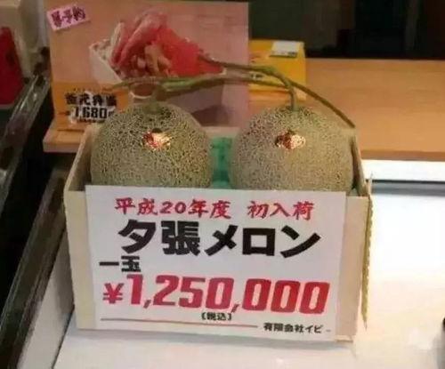 茫茫娱乐吃瓜,揭秘“茫茫娱乐吃瓜”背后的热点事件 第2张 茫茫娱乐吃瓜,揭秘“茫茫娱乐吃瓜”背后的热点事件 第2张