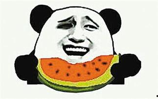 吃瓜群众在线吃瓜的意思,吃瓜群众在线“瓜田”狂欢 第2张 吃瓜群众在线吃瓜的意思,吃瓜群众在线“瓜田”狂欢 第2张