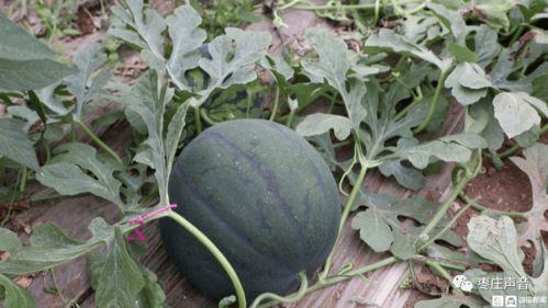 吃瓜网摄像头 第2张 吃瓜网摄像头 第2张