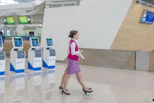 吃瓜云机场官网,一站式航空出行服务平台全解析  第2张