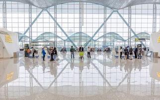 吃瓜云机场官网,一站式航空出行服务平台全解析  第3张