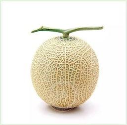 52cg吃瓜网,揭秘娱乐圈最新热点，带你领略幕后故事