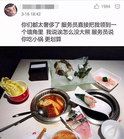海底捞吃瓜网,揭秘火锅界的“网红”幕后故事  第2张