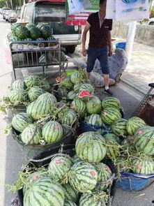 赣州网红吃瓜事件  第2张