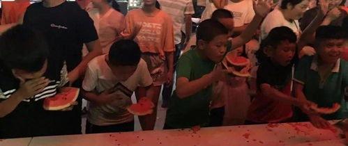 网红熊吃瓜大赛  第1张