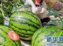 51吃瓜今日吃瓜官网最新消息,今日热点事件大盘点 第3张 51吃瓜今日吃瓜官网最新消息,今日热点事件大盘点 第3张