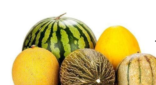 娱乐吃瓜作品有哪些类型,吃瓜群众的多元化娱乐作品类型大盘点  第2张