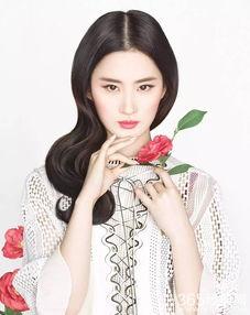 娱乐吃瓜刘亦菲,娱乐圈的瓜田，她如何成为焦点女神？  第2张